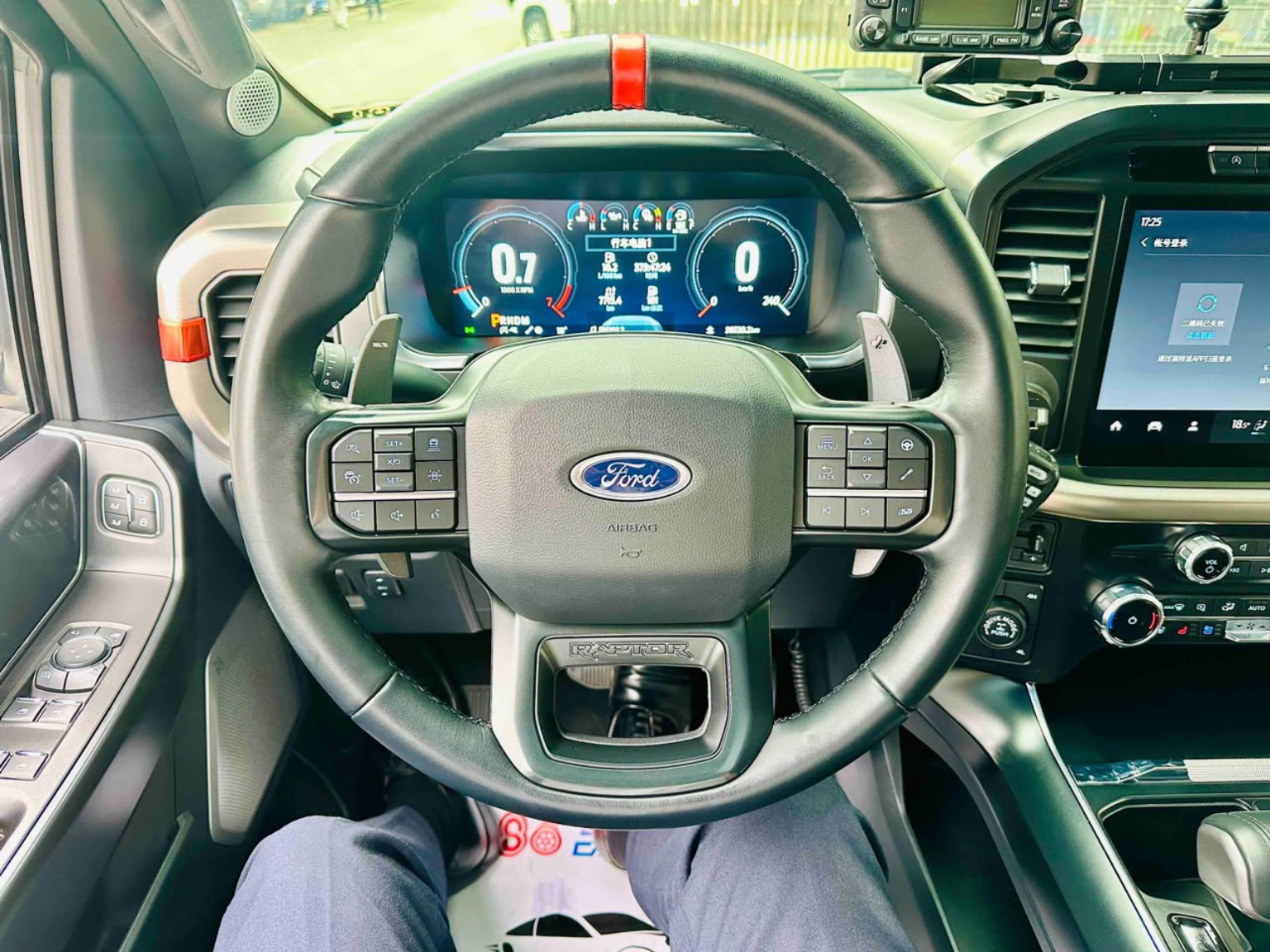 Ford F-150 Raptor photo 6